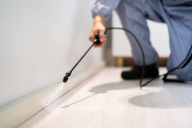 Licensed Fumigation Services service in Clearlake Riviera, CA - Nex Pest Control