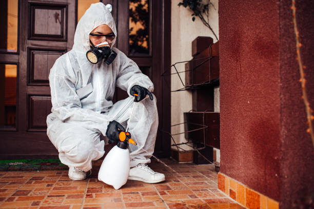 Reliable Fumigation Services contractor in Clearlake Riviera, CA by Nex Pest Control